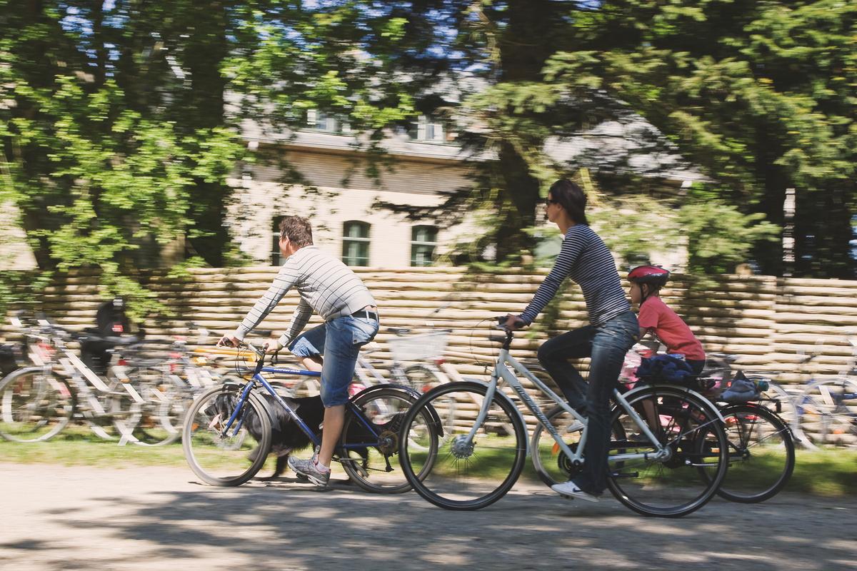 settling-in-successfully-thumbnail